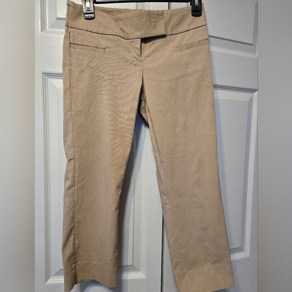 THE LIMITED Exact Stretch Capri pants